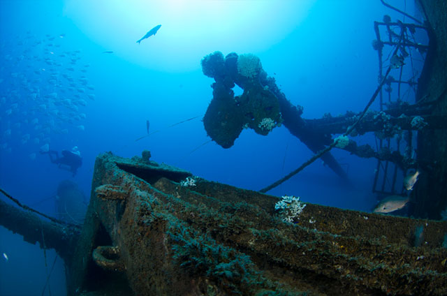 TAMUG scientific divers explore the wreck of the USTS Clipper during a Texas Parks and Wildlife Department Artificial Reef Program monitoring trip.