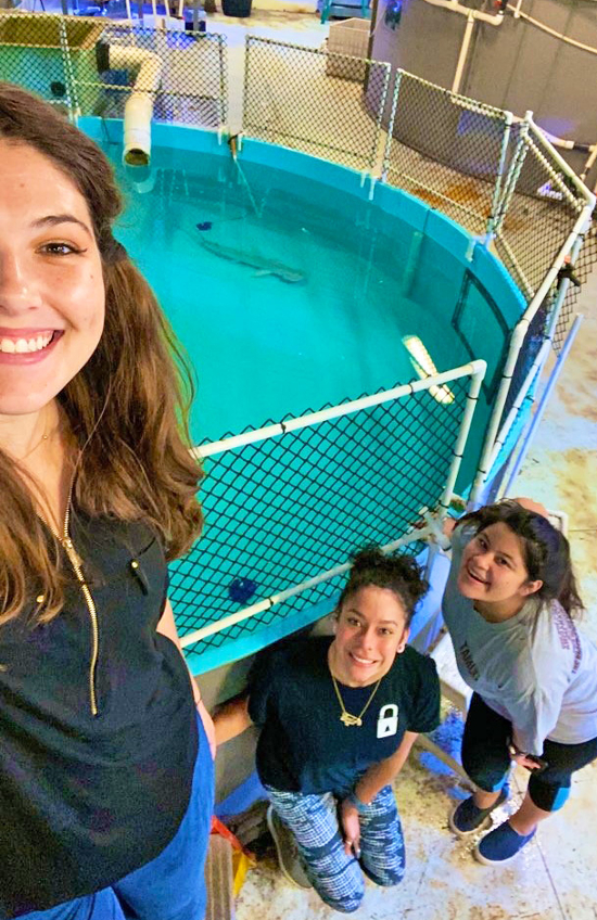 Interns Anahy Garza, an undergraduate student, and Former Student Sharleen Muñoz aid Simonitis in marine biology research in the university's Ecomorphology and Comparative Physiology Lab. 