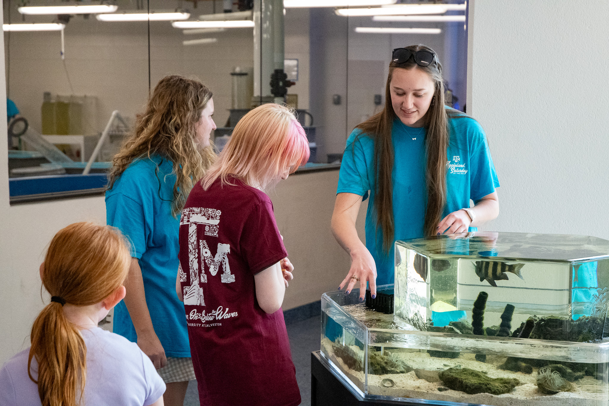 Visitors to Aggieland Saturday by the Sea at the Sea Life Facility's touch tank