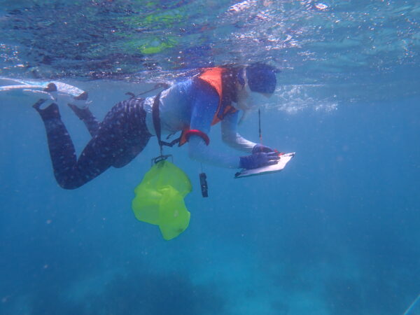 A student underwater using a snorkel and writing on a clipboard
